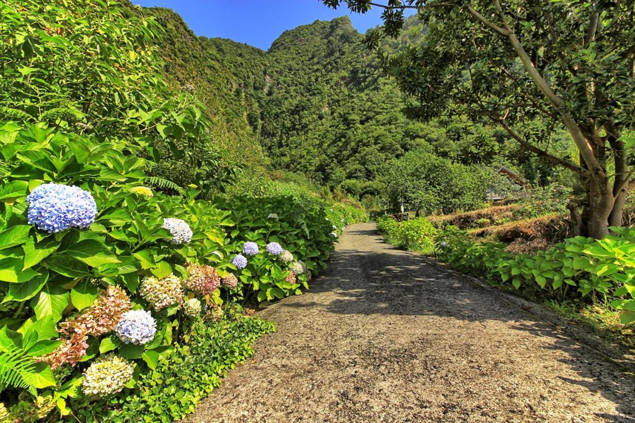 فيلا Chale Jardim De Cima São Vicente المظهر الخارجي الصورة
