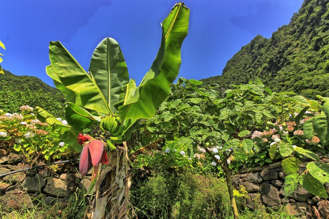 فيلا Chale Jardim De Cima São Vicente المظهر الخارجي الصورة