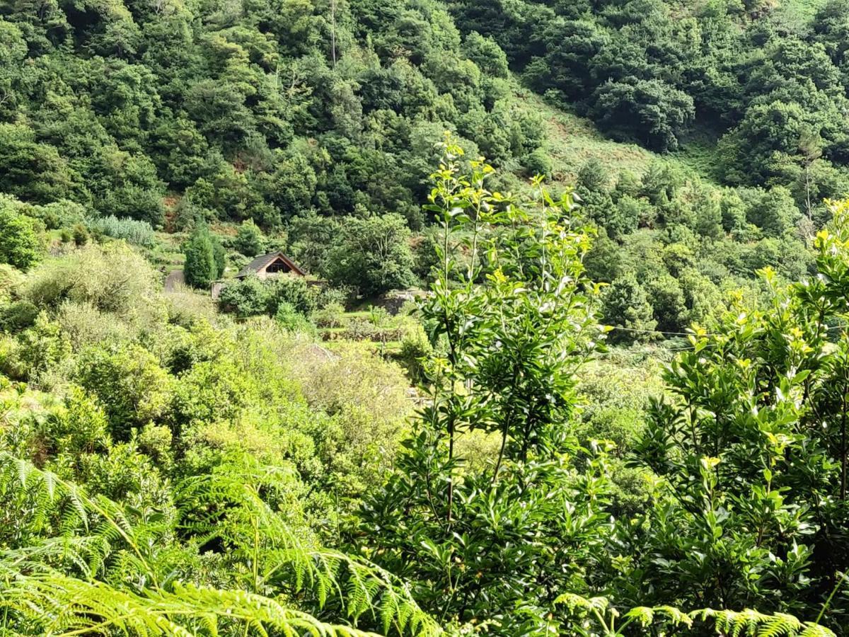 فيلا Chale Jardim De Cima São Vicente المظهر الخارجي الصورة